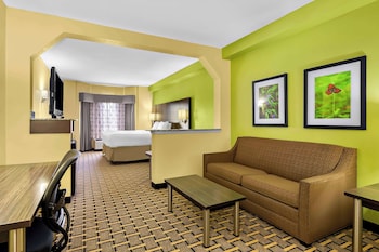 Suite, 1 King Bed, Non Smoking, Refrigerator & Microwave (with Sofabed)