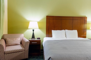 Room, 1 King Bed, Accessible, Non Smoking