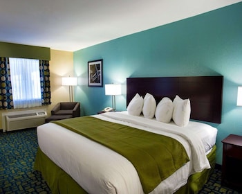 Standard Room, 1 King Bed, Non Smoking