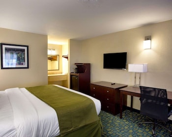Standard Room, 1 King Bed, Non Smoking