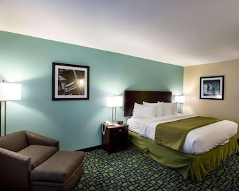 Standard Room, 1 King Bed, Non Smoking