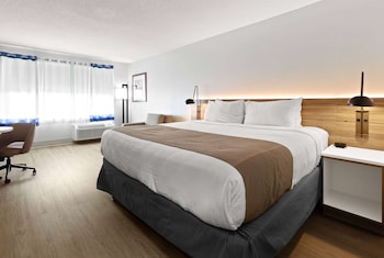Room, 1 King Bed, Non Smoking