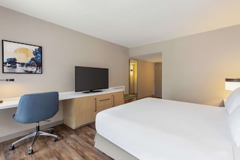 Room, 1 King Bed, Accessible, Bathtub