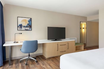 Room, 1 King Bed, Accessible, Balcony (Roll-In Shower)