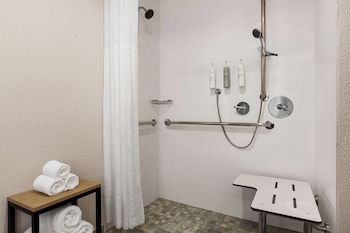 Room, 1 King Bed, Accessible, Balcony (Roll-In Shower)