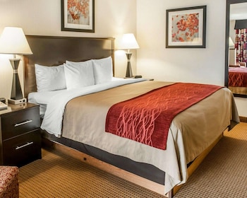 Suite, 1 King Bed, Non Smoking