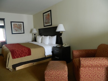 Standard Room, 1 King Bed, Non Smoking