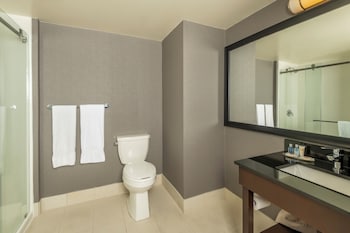 Suite, 1 King Bed with Sofa bed, Non Smoking