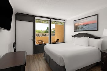 Room, 1 Queen Bed, Roll-in Shower (Mobility/Hearing Accessible)