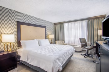 Suite, 1 Bedroom