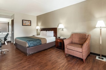 Standard Room, 1 King Bed, Non Smoking