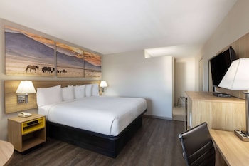 Room, 1 King Bed, Accessible, Non Smoking