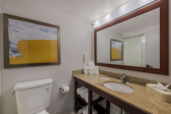 Room, 1 King Bed, Accessible, Non Smoking