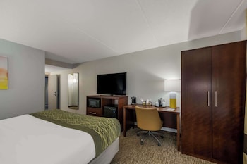 Room, 1 King Bed, Accessible, Non Smoking