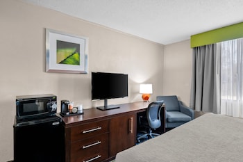 Standard Room, 1 King Bed, Smoking