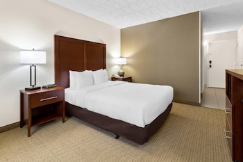 Standard Room, 1 Queen Bed, Accessible, Non Smoking