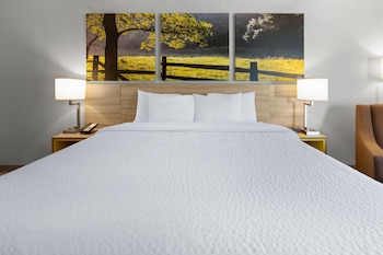 Room, 1 King Bed, Non Smoking