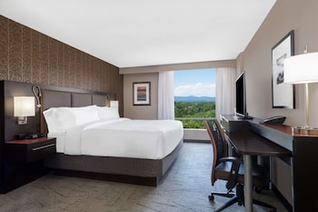 Room, 1 King Bed, Accessible (Hearing)