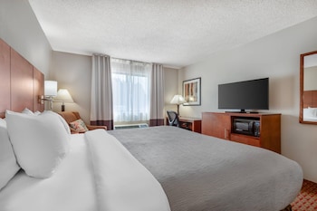 Room, 1 King Bed, Accessible, Non Smoking