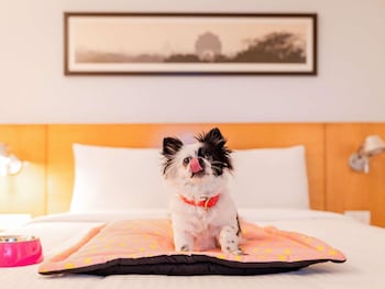 Standard Room, 1 Double Bed, Accessible