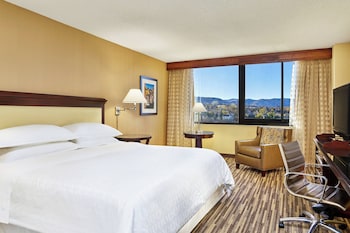 Room, 1 King Bed