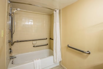 Room, 1 King Bed, Accessible, Non Smoking (Efficiency)