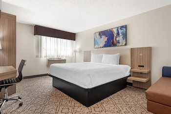 Standard Room, 1 King Bed, Non Smoking, Refrigerator & Microwave (Walk-in Shower)