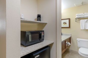Standard Room, 1 King Bed, Non Smoking, Refrigerator