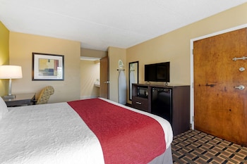 Standard Room, 1 King Bed, Accessible, Bathtub
