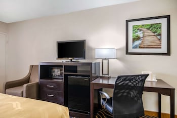 Standard Room, 1 King Bed, Non Smoking