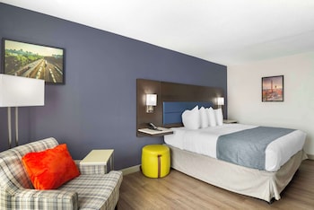 Standard Room, 1 King Bed, Non Smoking, Refrigerator & Microwave