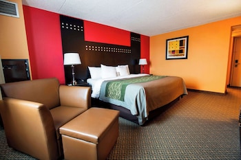 Room, 1 King Bed, Smoking