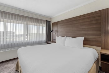 Standard Room, 1 King Bed, Non Smoking, Refrigerator (Larger Room;with Sofabed)
