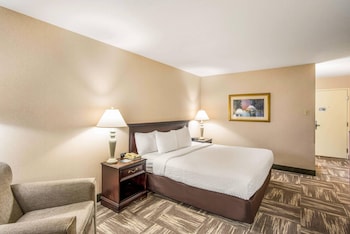Standard Room, 1 King Bed, Non Smoking (Pet Friendly)