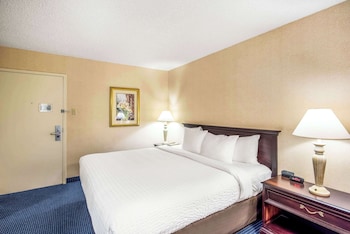 Standard Room, 1 King Bed, Non Smoking (Pet Friendly)