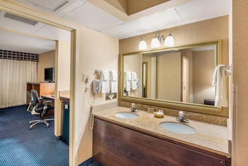 Suite, 1 King Bed with Sofa bed, Non Smoking