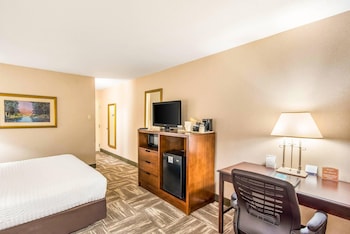 Standard Room, 1 King Bed, Non Smoking (Pet Friendly)