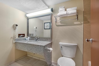 Suite, 1 King Bed, Non Smoking, Refrigerator & Microwave (with Sofabed)