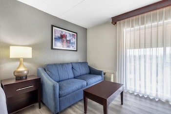 Standard Room, 1 King Bed, Non Smoking, Refrigerator & Microwave (with Sofabed)