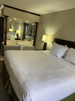 Room, 1 King Bed