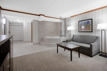Standard Room, 1 King Bed, Non Smoking, Jetted Tub