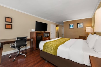 Standard Room, 1 King Bed, Non Smoking, Ocean View