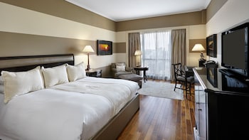 Premium Room, 1 King Bed, City View