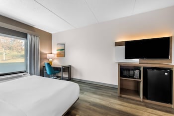 Suite, 1 King Bed with Sofa bed, Accessible, Non Smoking