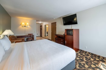 Room, 1 Queen Bed, Non Smoking
