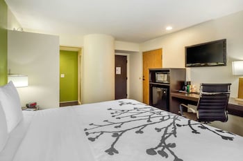 Room, 1 King Bed, Non Smoking (Efficiency Accessible)