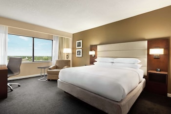 Room, 1 King Bed with Sofa bed