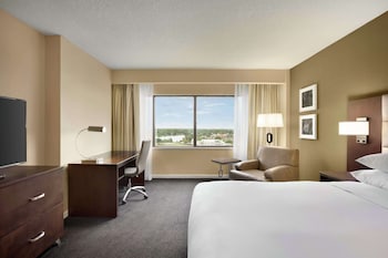 Room, 1 King Bed