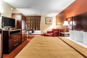 Room, 1 King Bed, Non Smoking