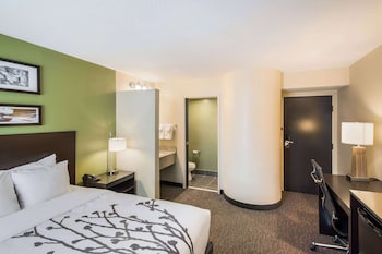 Standard Room, 1 Queen Bed, Non Smoking